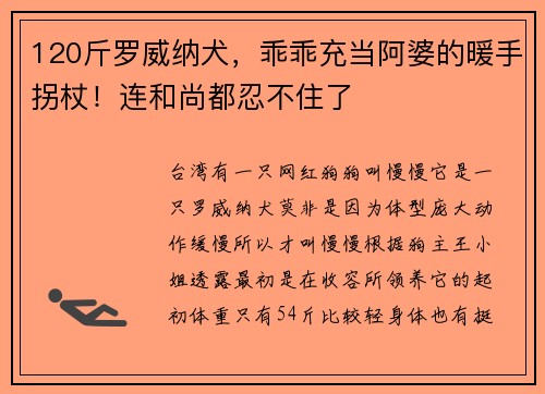 120斤罗威纳犬，乖乖充当阿婆的暖手拐杖！连和尚都忍不住了
