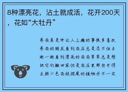 8种漂亮花，沾土就成活，花开200天，花如“大牡丹”